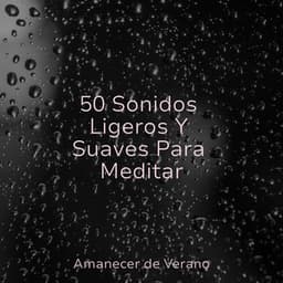 50 Sonidos Ligeros Y Suaves Para Meditar - Lullabies for Deep Meditation