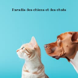 Paradis des chiens et des chats : musique thérapeutique relaxante pour des animaux heureux - Chien musique