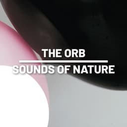 The Orb - Sounds Of Nature