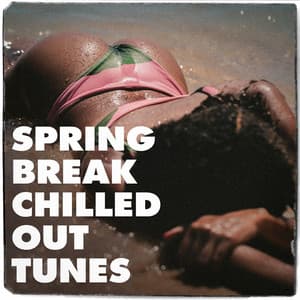 Spring Break Chilled Out Tunes - Minimal Lounge