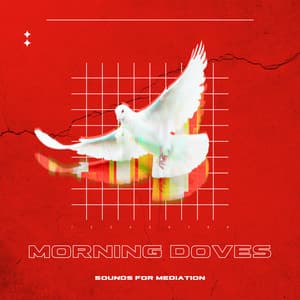 Morning Doves- Sounds For Meditation - Natural Sounds