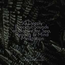50 Deeply Peaceful Sounds of Nature for Spa, Healing & Mind Meditation - Musica de Relajación Academy