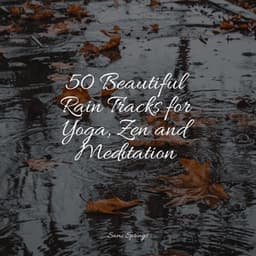 50 Beautiful Rain Tracks for Yoga, Zen and Meditation - White Noise For Baby Sleep