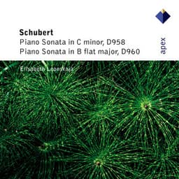 Schubert: Piano Sonatas Nos. 19 & 21 - Franz Schubert