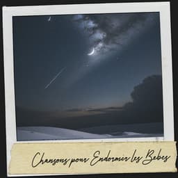 Chansons pour Endormir les Bébés : Mélodies de Paix et de Rêves - Cat Music Therapy