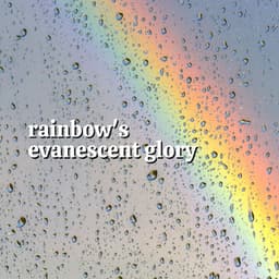 Rainbow's Evanescent Glory - Heavy Rain Sounds