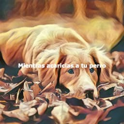 Mientras acaricias a tu perro - Jazz Brasiliano Musica Di Sottofondo