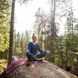 Nature Meditation Melodies: Cricket Serenade with the Wind's Peace - Nature Sounds XLE Library