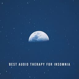Best Audio Therapy for Insomnia: 1 Hour Sleep Cycle Track - Lily Zen