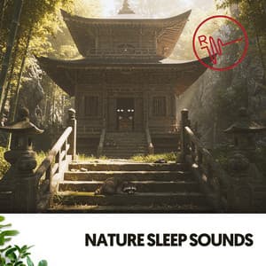 Nature Sleep Sounds: Serene Slumber Symphony - Solfeggio Frequencies 528Hz