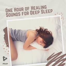 1 Hour of Healing Sounds for Deep Sleep - #Sleep