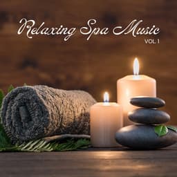 Relaxing Spa Music, Vol. 1 - Amazing Spa Music