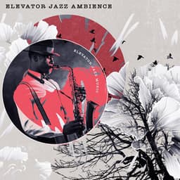 Elevator Jazz Ambience - Elevator Jazz Music