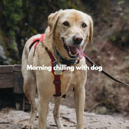 Morning chilling with dog - Musica Relajante para Perros Momentos