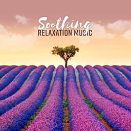 Soothing Relaxation Music - Mental Clarity, Inner Balance, Wellness - Bedtime Stories Unit