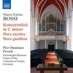 Bossi: Organ Music - Marco Enrico Bossi