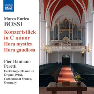 Bossi: Organ Music - Marco Enrico Bossi
