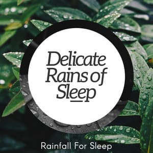 Delicate Rains of Sleep - Rainfall For Sleep
