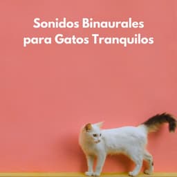 Sonidos Binaurales Para Gatos Tranquilos - Binaural Beats sueño profundo