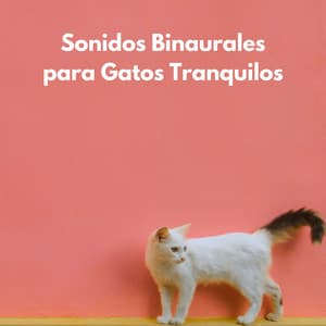 Sonidos Binaurales Para Gatos Tranquilos - Binaural Beats sueño profundo