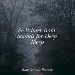 50 Winter Rain Sounds for Deep Sleep - Rain Sound Studio