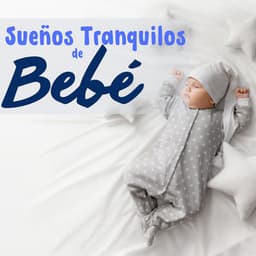 Sueños Tranquilos de Bebé: Canciones el Descanso de Niños Pequeños para Escuchar Antes de Dormir - New Age Sleep Science