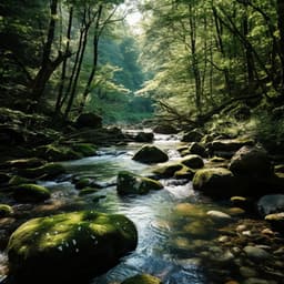 Aguas De Relajación: Sinfonía Serena Del Arroyo - La curación natural