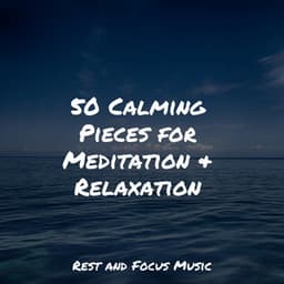 50 Calming Pieces for Meditation & Relaxation - Namaste Yoga