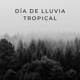 Día De Lluvia Tropical - Ambiente De Lluvia