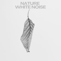 Nature White Noise - White Noise Therapy