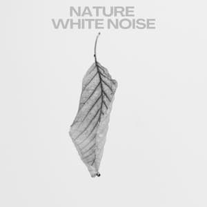Nature White Noise - White Noise Therapy