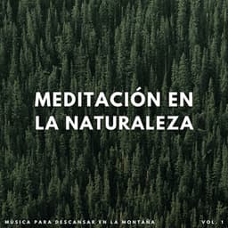 Meditación En La Naturaleza: Música Para Descansar En La Montaña Vol. 1 - Ecos Débiles