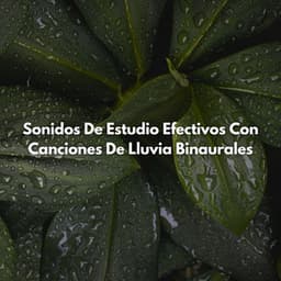Sonidos De Estudio Efectivos Con Canciones De Lluvia Binaurales - Ritmos binaurales Estudiar música