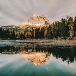 25 Songs With Nature: Bedtime Music - Baltic Nature Sounds