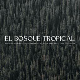 El Bosque Tropical: Sonidos Relajantes De Corrientes De Agua Para Relajarse Y Respirar - Aves del bosque sueco