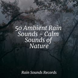50 Ambient Rain Sounds - Calm Sounds of Nature - Yoga