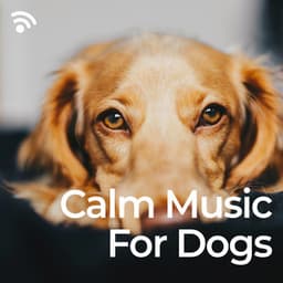 Calm Music for Dogs - The Dog Relaxer