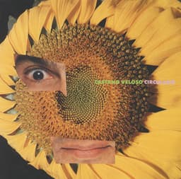 Circulado - Caetano Veloso