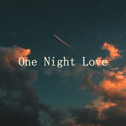 One Night Love - Lofi Sad