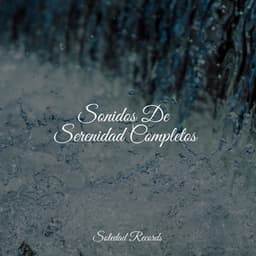 Sonidos De Serenidad Completos - Meditación Interna