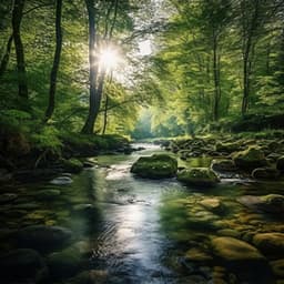 Music for River: Focus and Concentration Currents - The Flow Atmosphere