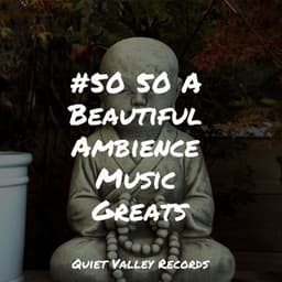 #50 50 A Beautiful Ambience Music Greats - Zarobi