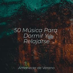 50 Música Para Dormir Y Relajarse - Musica para Meditar