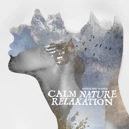 Calm Nature Relaxation - Nature Bird Sounds