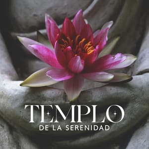 Templo de la Serenidad: Meditación Zen para Encontrar la Paz Interior - Relajación Meditar Academie