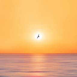 Calm Waters of Concentration: Oceanic Beachside Insight - A Minute Concentration