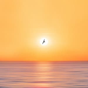 Calm Waters of Concentration: Oceanic Beachside Insight - A Minute Concentration