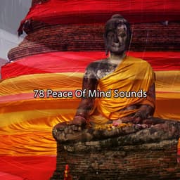 78 Peace Of Mind Sounds - Massage Music
