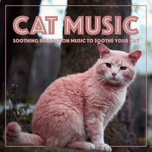 Cat Music: Soothing Relaxation Music to Soothe Your Cat - RelaxMyCat