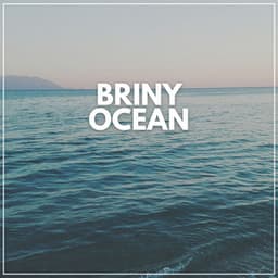 Briny Ocean - Sounds of Nature Noise